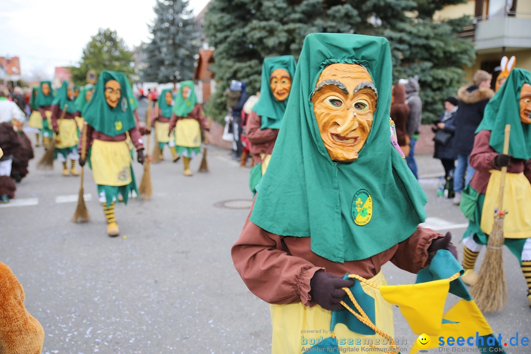 Fasnetsumzug - Fasching: Fischbach am Bodensee, 02.02.2018