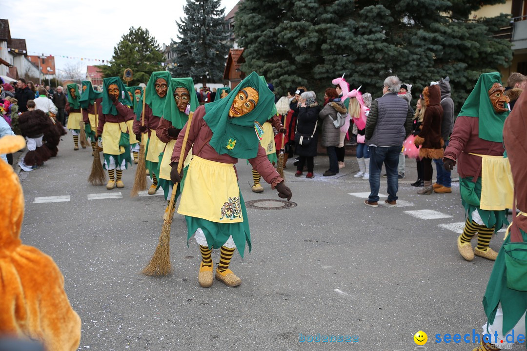 Fasnetsumzug - Fasching: Fischbach am Bodensee, 02.02.2018