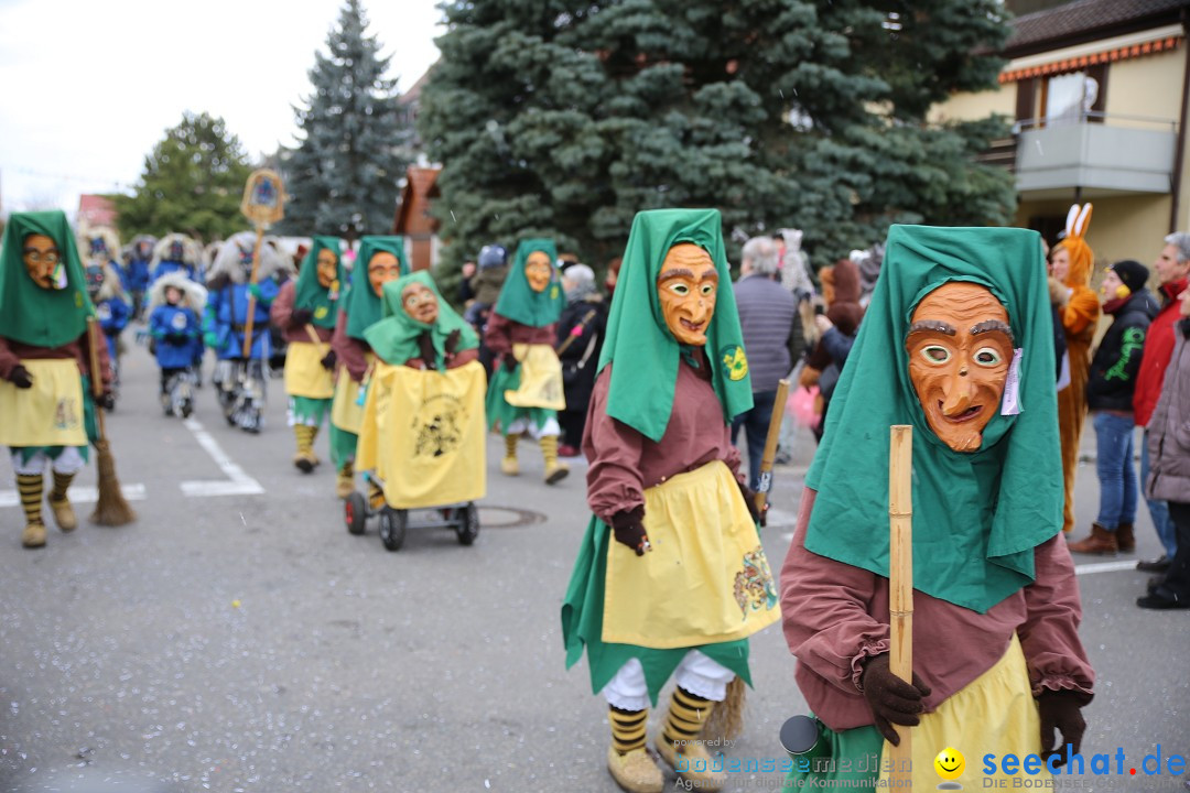 Fasnetsumzug - Fasching: Fischbach am Bodensee, 02.02.2018