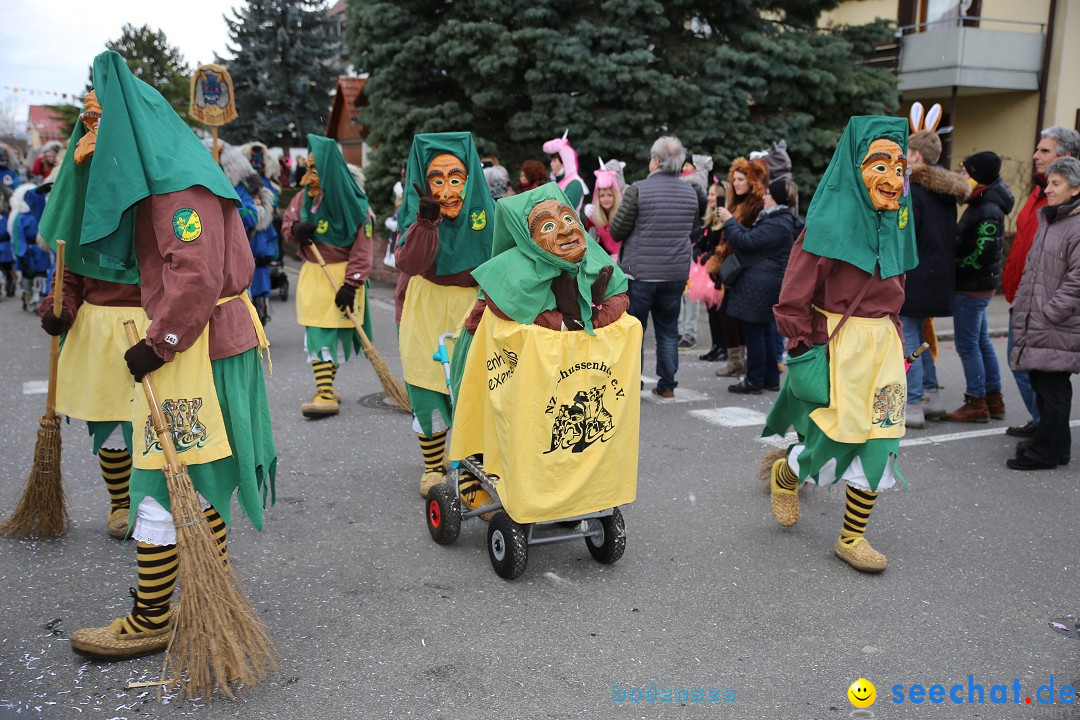 Fasnetsumzug - Fasching: Fischbach am Bodensee, 02.02.2018