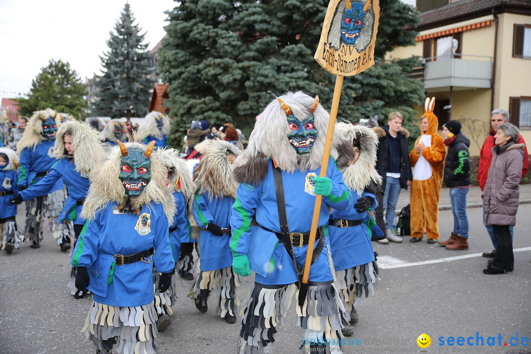 Fasnetsumzug - Fasching: Fischbach am Bodensee, 02.02.2018