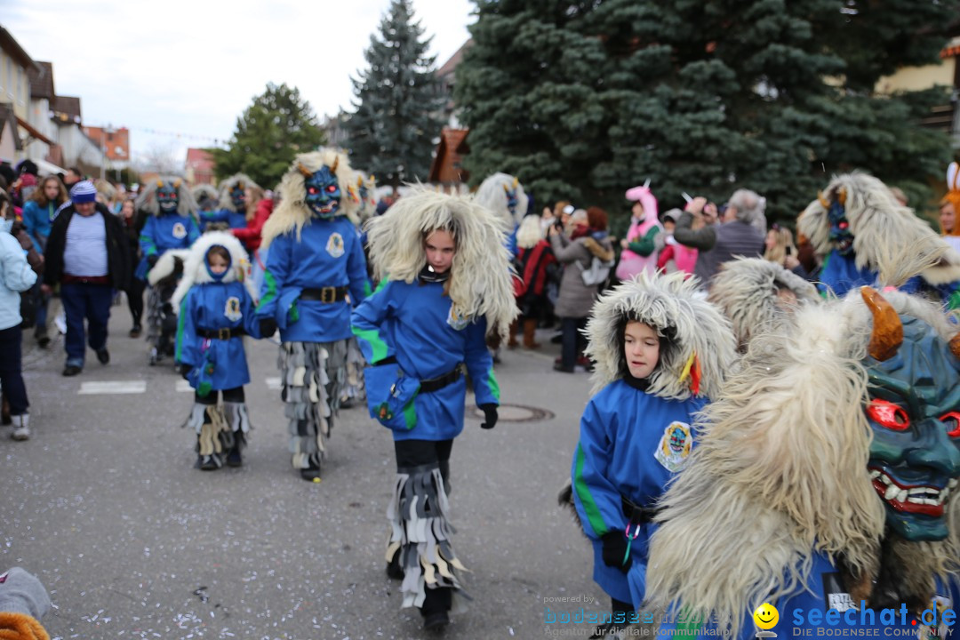 Fasnetsumzug - Fasching: Fischbach am Bodensee, 02.02.2018