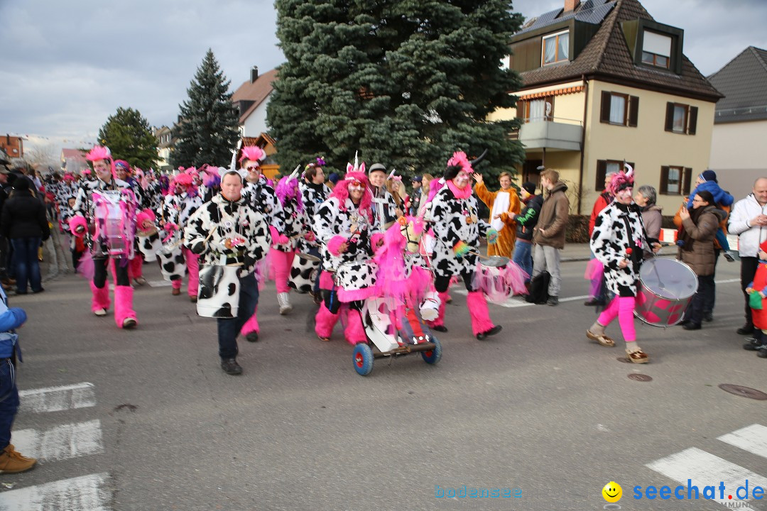 Fasnetsumzug - Fasching: Fischbach am Bodensee, 02.02.2018