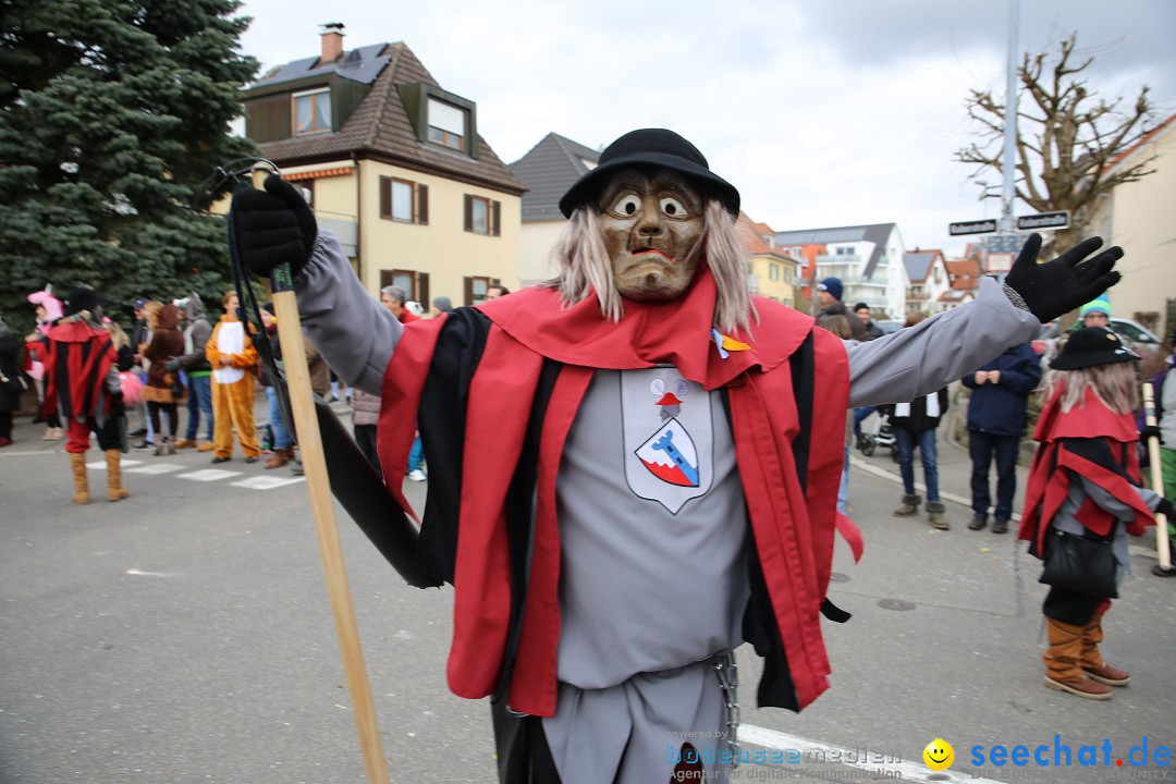 Fasnetsumzug - Fasching: Fischbach am Bodensee, 02.02.2018