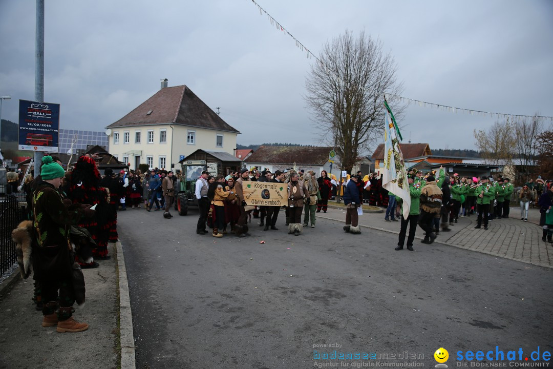 Fasnetsumzug - Fasching: Obereisenbach am Bodensee, 03.02.2018