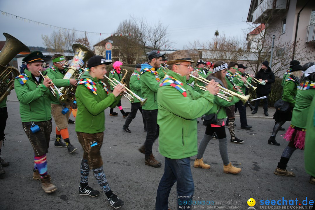 Fasnetsumzug - Fasching: Obereisenbach am Bodensee, 03.02.2018