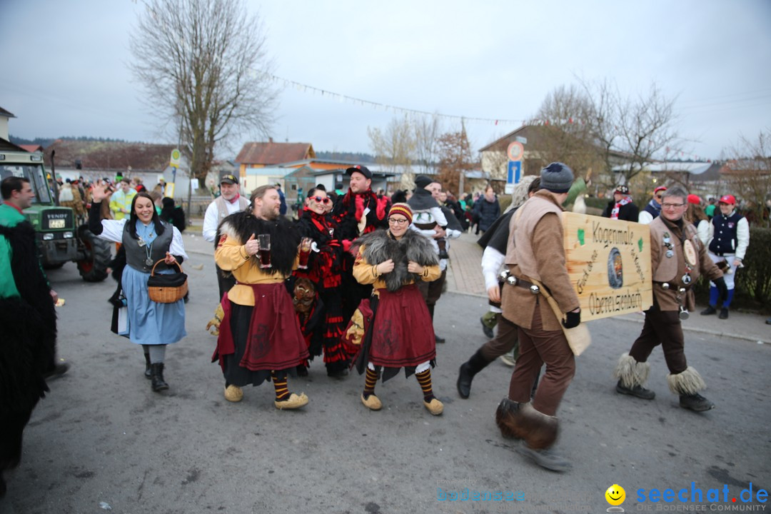 Fasnetsumzug - Fasching: Obereisenbach am Bodensee, 03.02.2018