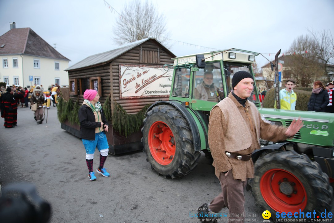 Fasnetsumzug - Fasching: Obereisenbach am Bodensee, 03.02.2018