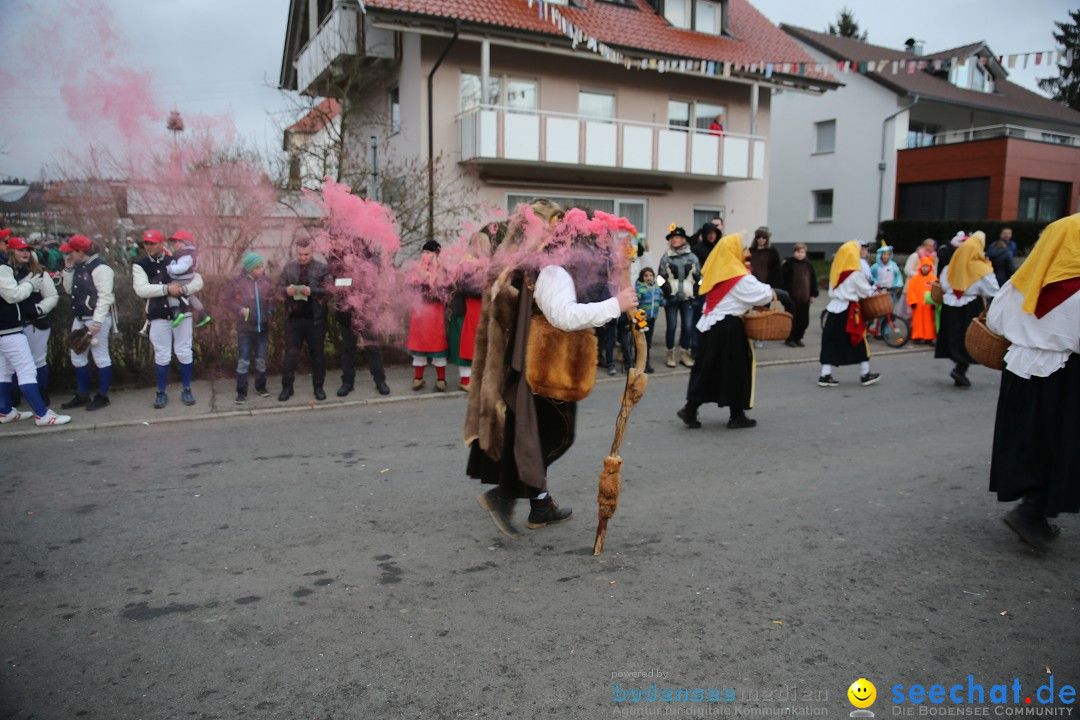 Fasnetsumzug - Fasching: Obereisenbach am Bodensee, 03.02.2018