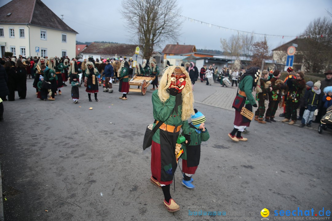 Fasnetsumzug - Fasching: Obereisenbach am Bodensee, 03.02.2018