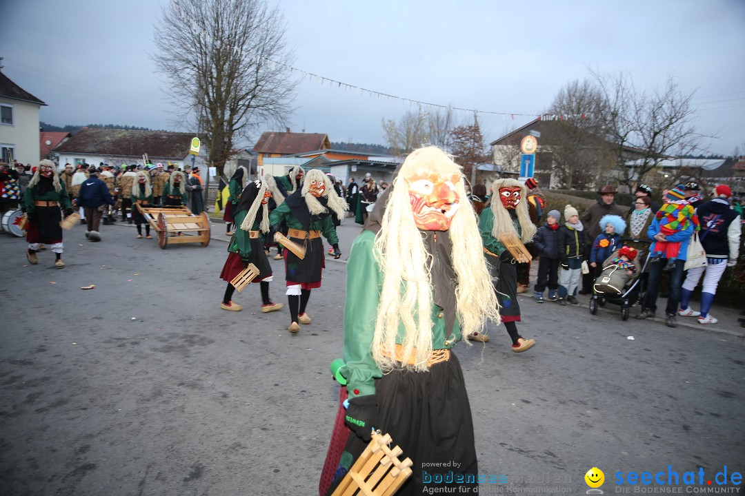 Fasnetsumzug - Fasching: Obereisenbach am Bodensee, 03.02.2018