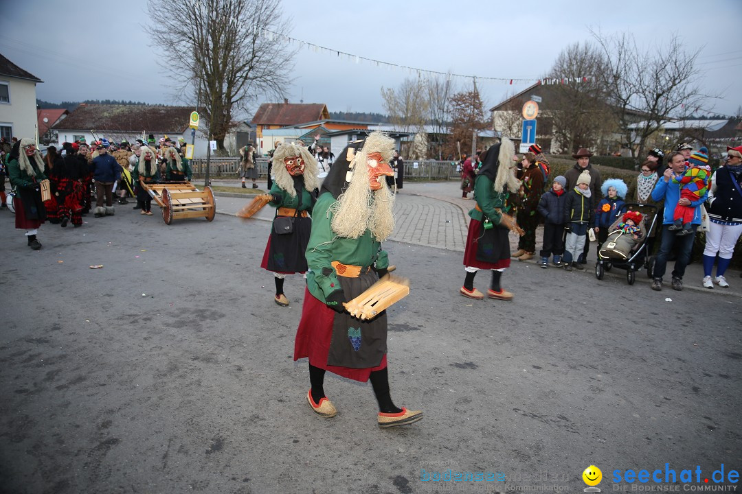 Fasnetsumzug - Fasching: Obereisenbach am Bodensee, 03.02.2018