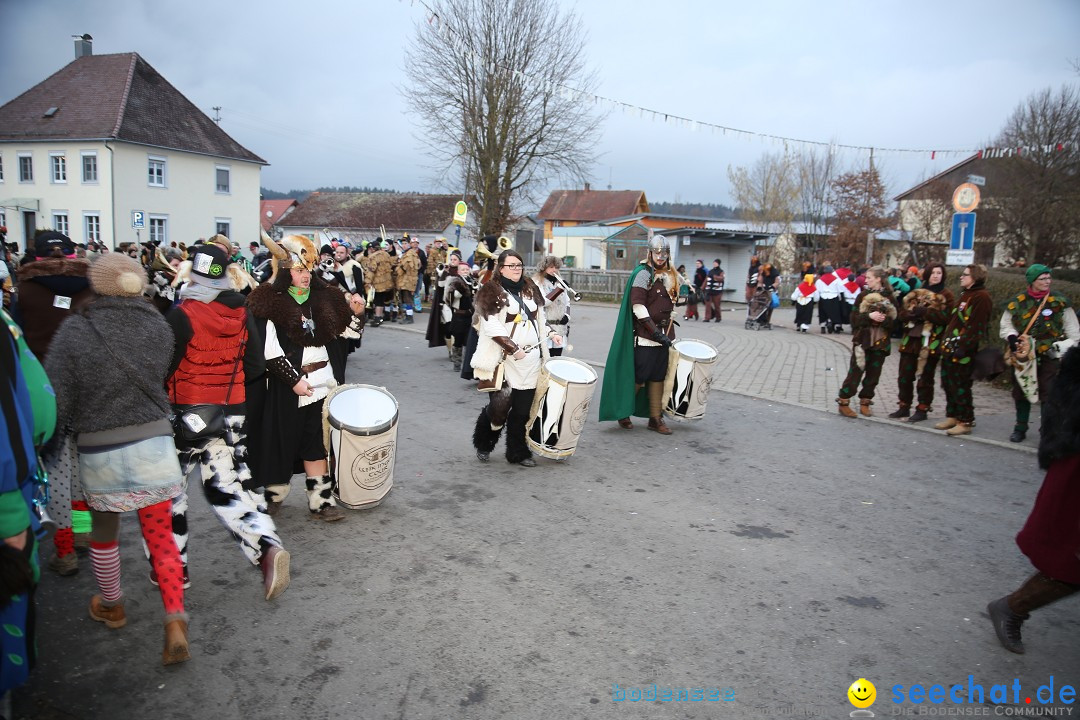 Fasnetsumzug - Fasching: Obereisenbach am Bodensee, 03.02.2018