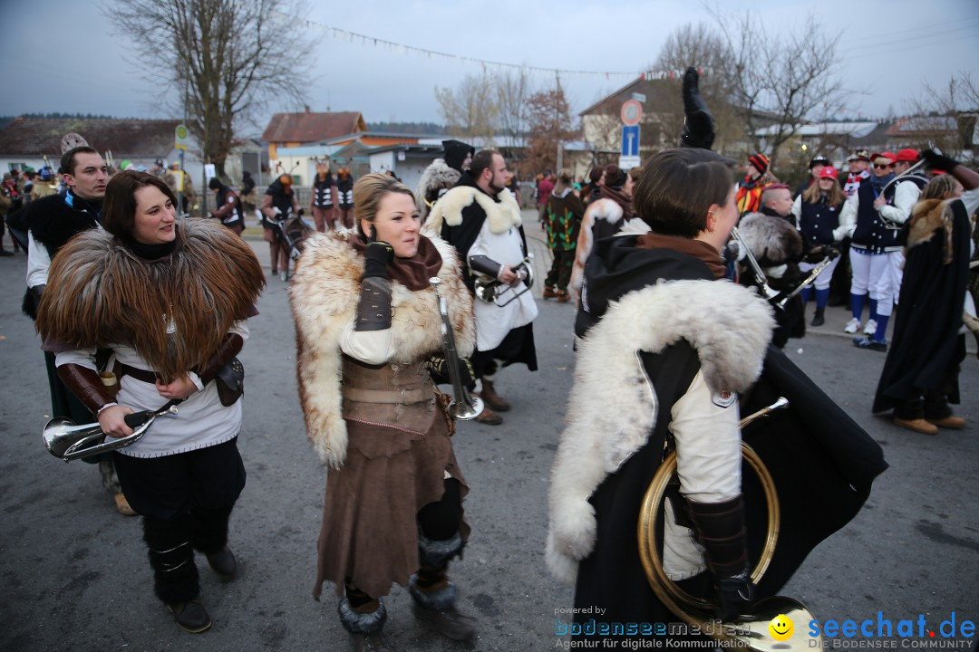 Fasnetsumzug - Fasching: Obereisenbach am Bodensee, 03.02.2018