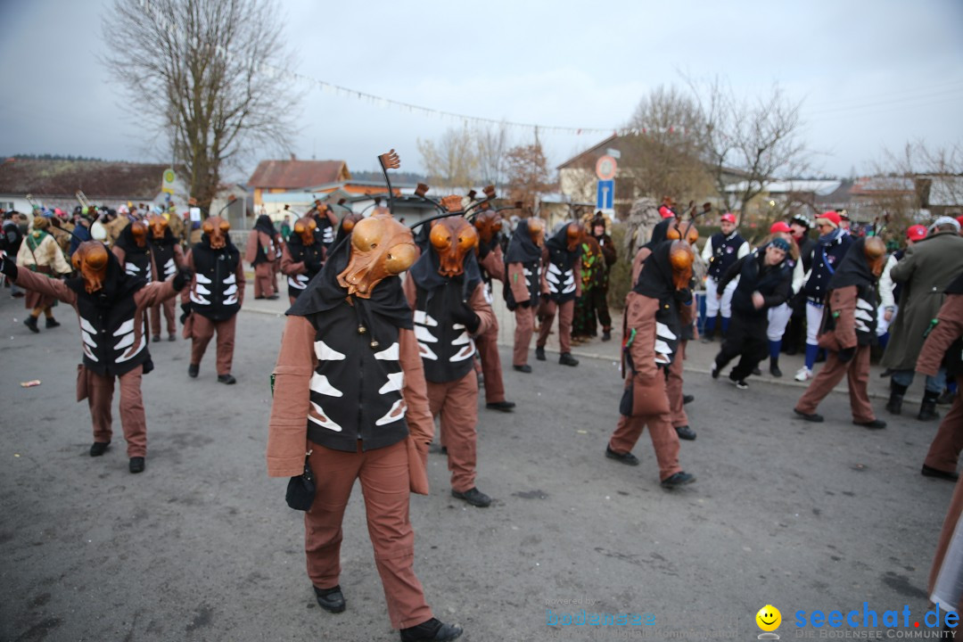 Fasnetsumzug - Fasching: Obereisenbach am Bodensee, 03.02.2018