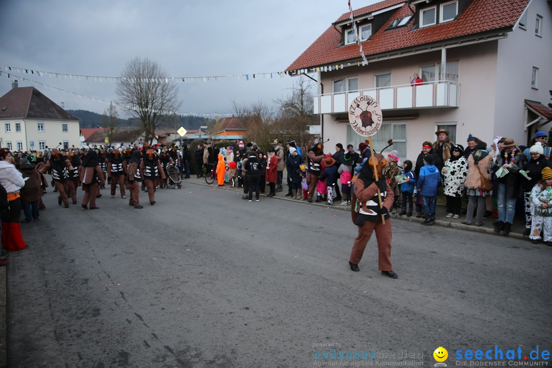 Fasnetsumzug - Fasching: Obereisenbach am Bodensee, 03.02.2018