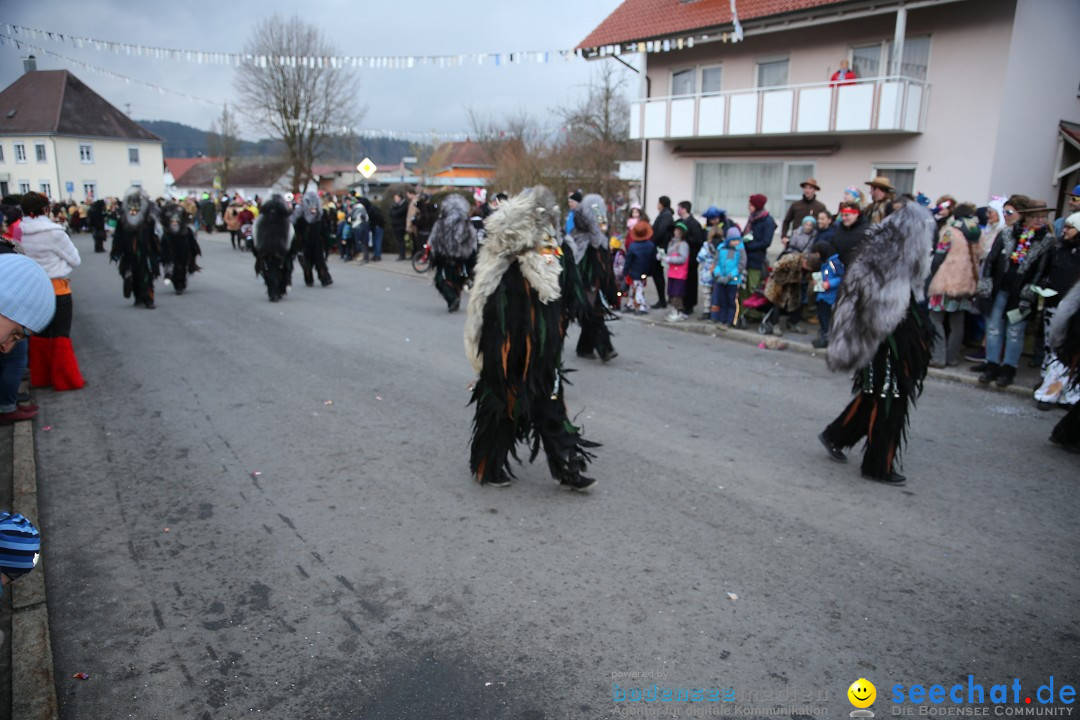 Fasnetsumzug - Fasching: Obereisenbach am Bodensee, 03.02.2018