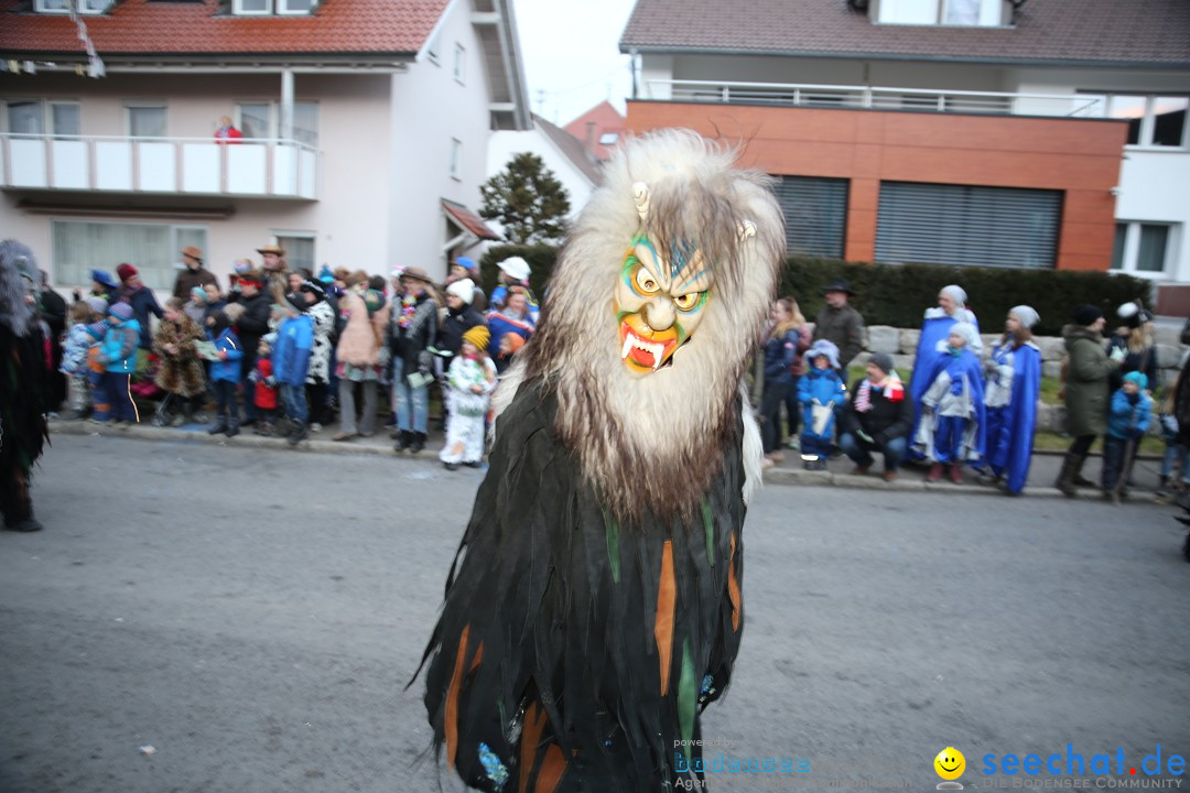 Fasnetsumzug - Fasching: Obereisenbach am Bodensee, 03.02.2018