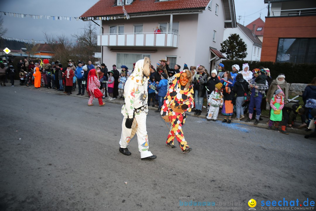 Fasnetsumzug - Fasching: Obereisenbach am Bodensee, 03.02.2018