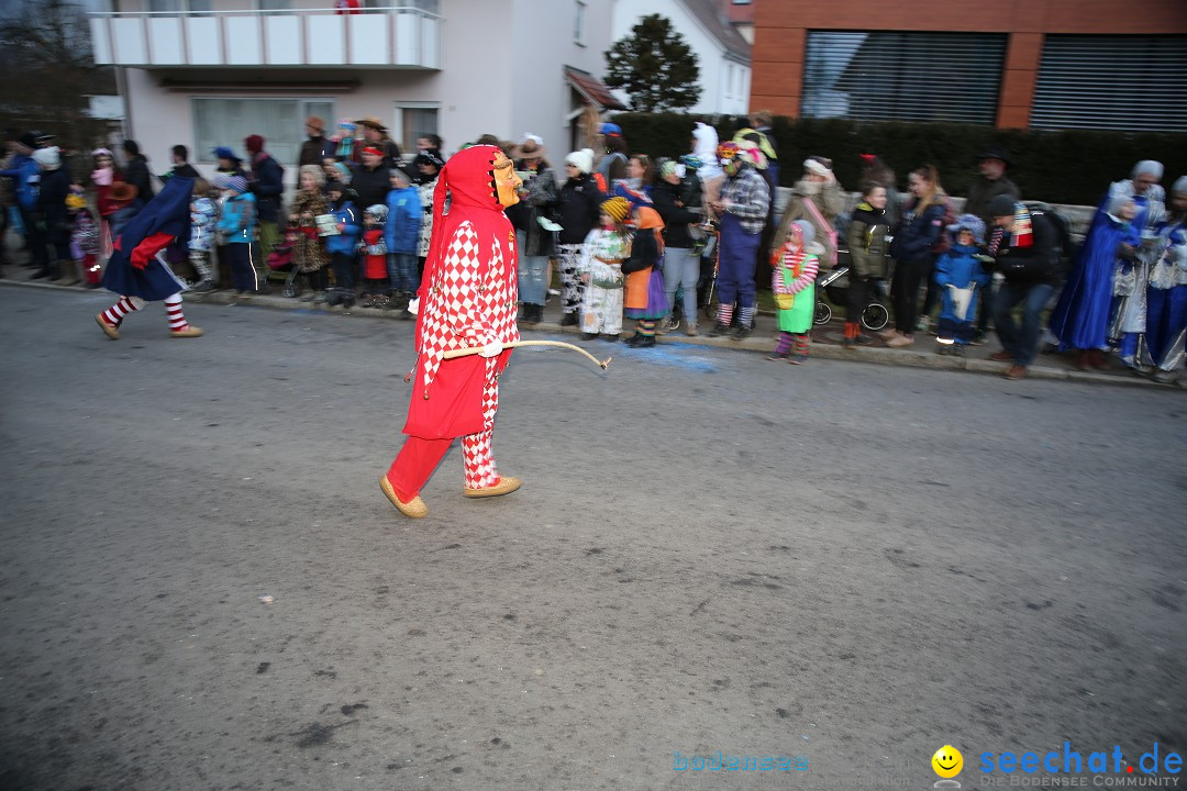 Fasnetsumzug - Fasching: Obereisenbach am Bodensee, 03.02.2018