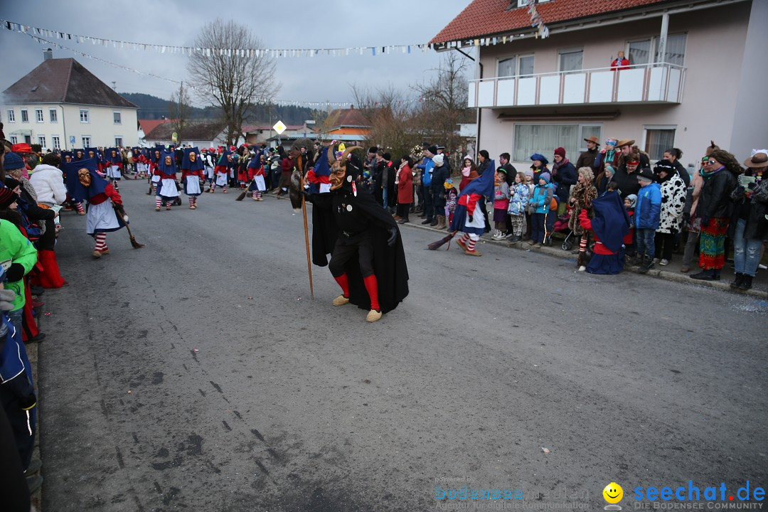 Fasnetsumzug - Fasching: Obereisenbach am Bodensee, 03.02.2018