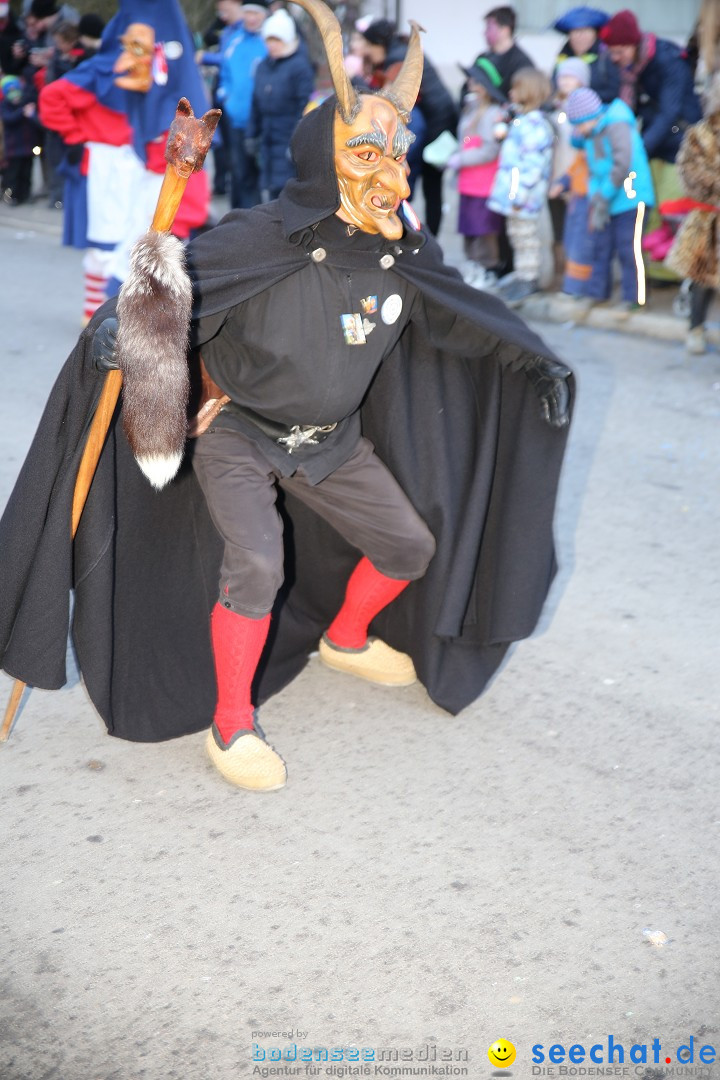 Fasnetsumzug - Fasching: Obereisenbach am Bodensee, 03.02.2018