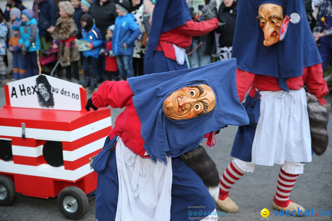 Fasnetsumzug - Fasching: Obereisenbach am Bodensee, 03.02.2018