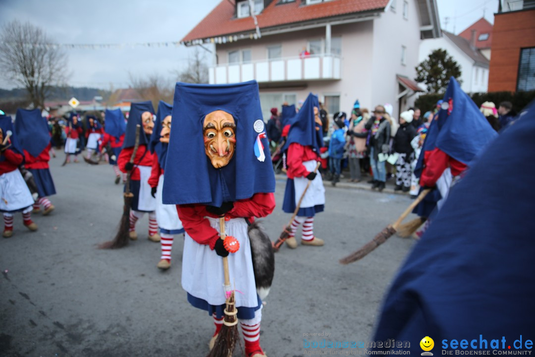 Fasnetsumzug - Fasching: Obereisenbach am Bodensee, 03.02.2018