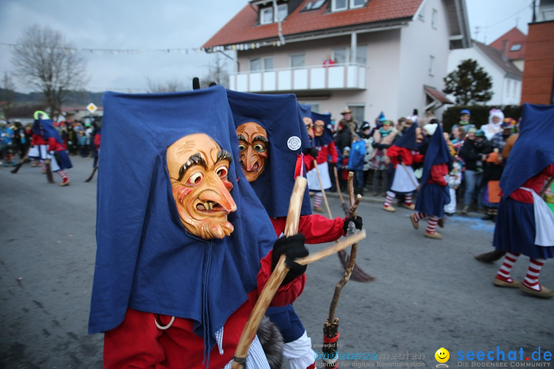 Fasnetsumzug - Fasching: Obereisenbach am Bodensee, 03.02.2018