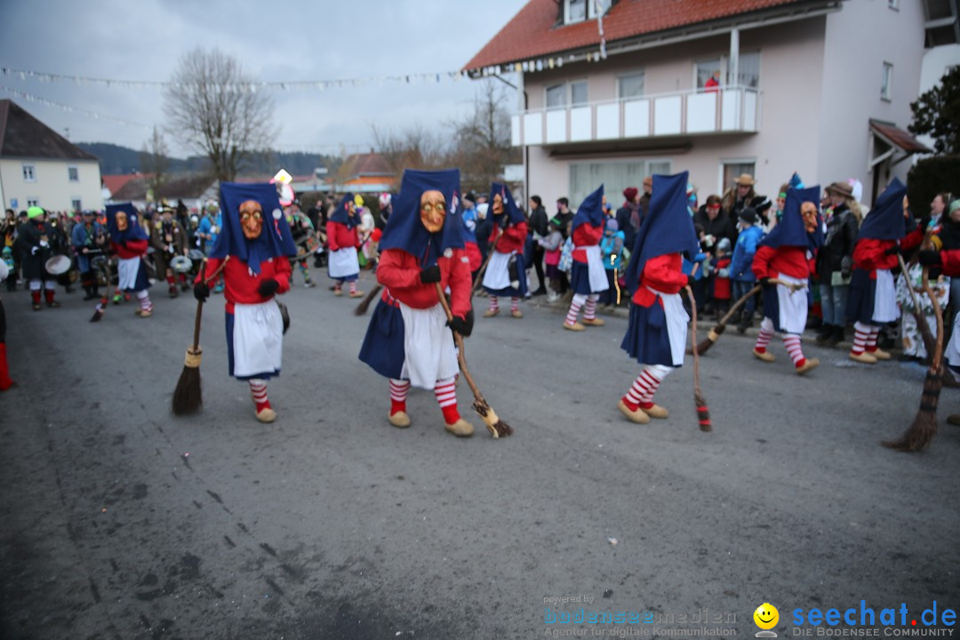 Fasnetsumzug - Fasching: Obereisenbach am Bodensee, 03.02.2018