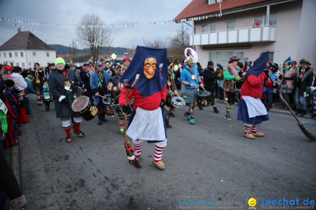 Fasnetsumzug - Fasching: Obereisenbach am Bodensee, 03.02.2018