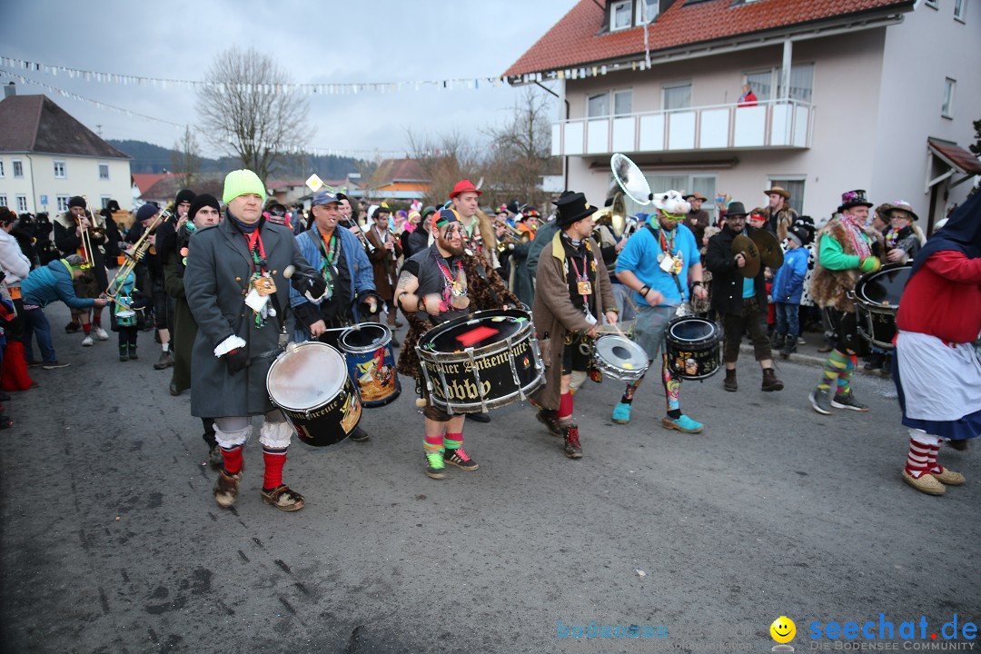 Fasnetsumzug - Fasching: Obereisenbach am Bodensee, 03.02.2018