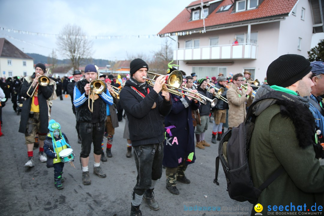 Fasnetsumzug - Fasching: Obereisenbach am Bodensee, 03.02.2018