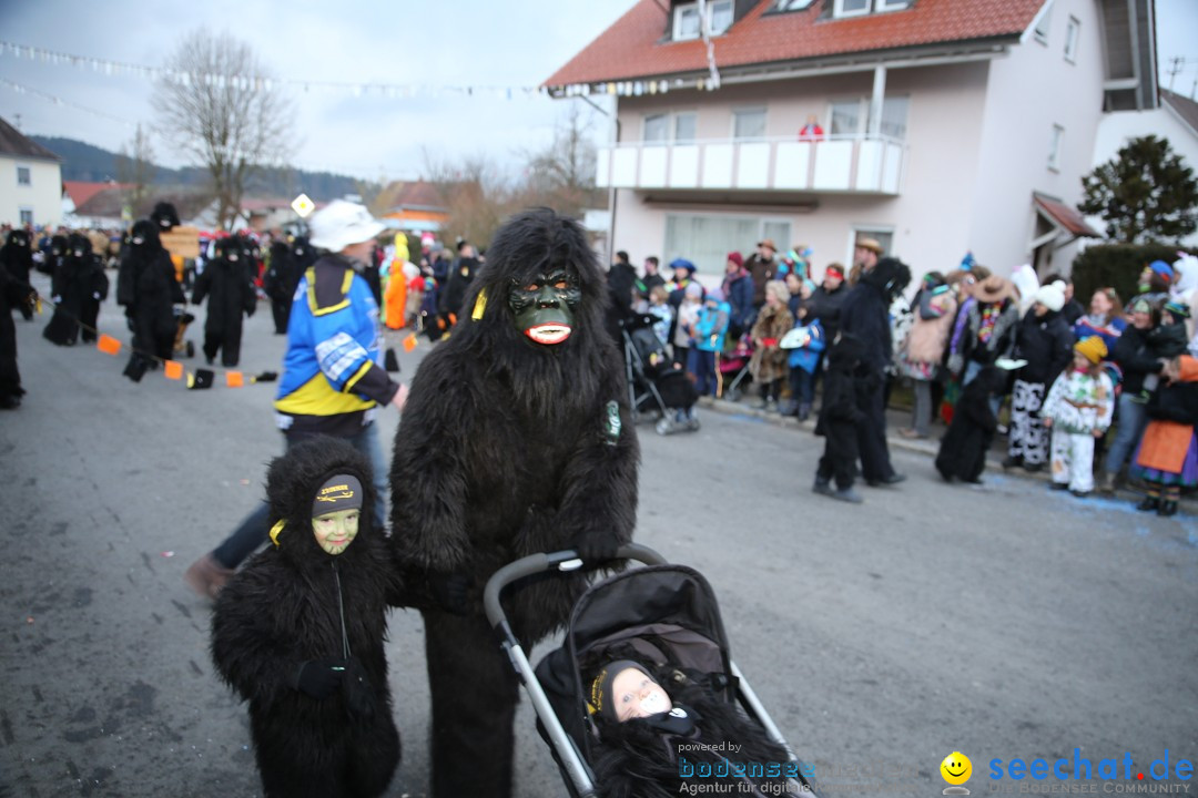 Fasnetsumzug - Fasching: Obereisenbach am Bodensee, 03.02.2018