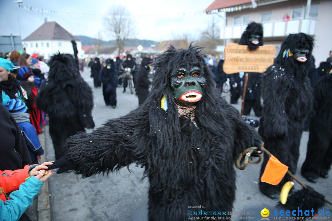 Fasnetsumzug - Fasching: Obereisenbach am Bodensee, 03.02.2018