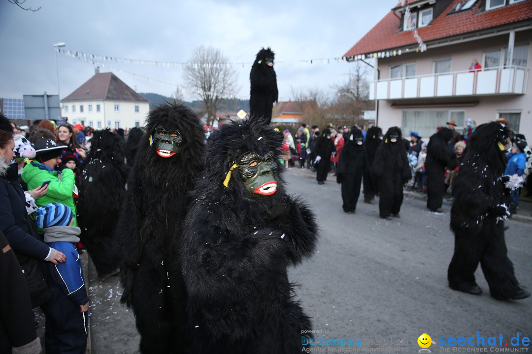 Fasnetsumzug - Fasching: Obereisenbach am Bodensee, 03.02.2018