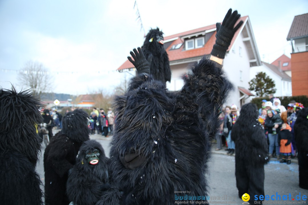 Fasnetsumzug - Fasching: Obereisenbach am Bodensee, 03.02.2018