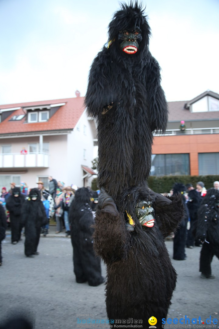 Fasnetsumzug - Fasching: Obereisenbach am Bodensee, 03.02.2018