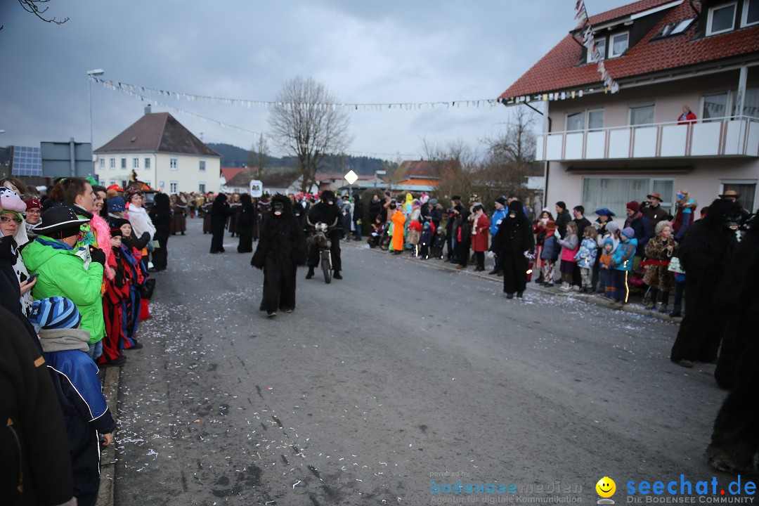 Fasnetsumzug - Fasching: Obereisenbach am Bodensee, 03.02.2018