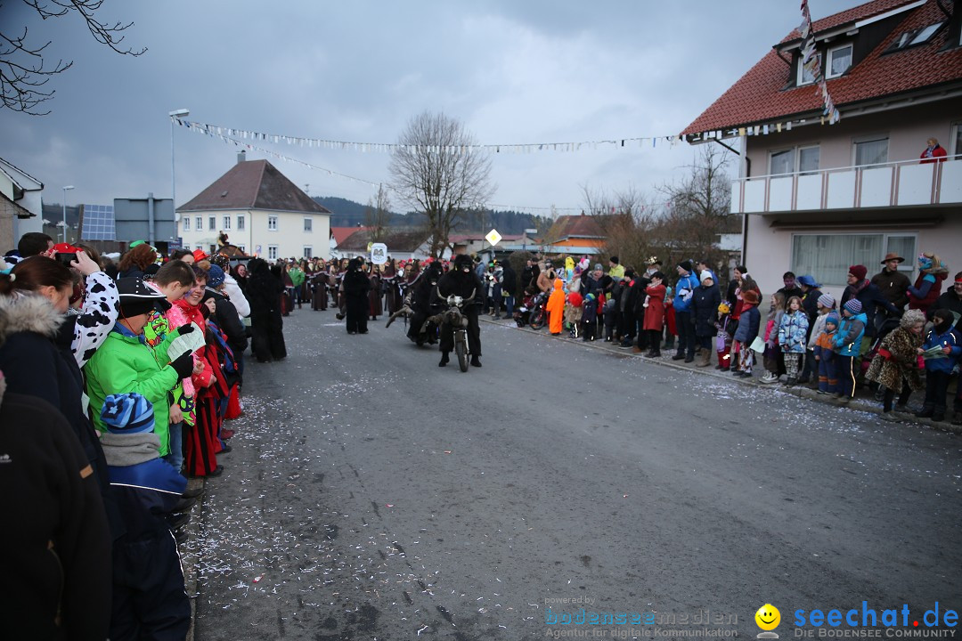 Fasnetsumzug - Fasching: Obereisenbach am Bodensee, 03.02.2018