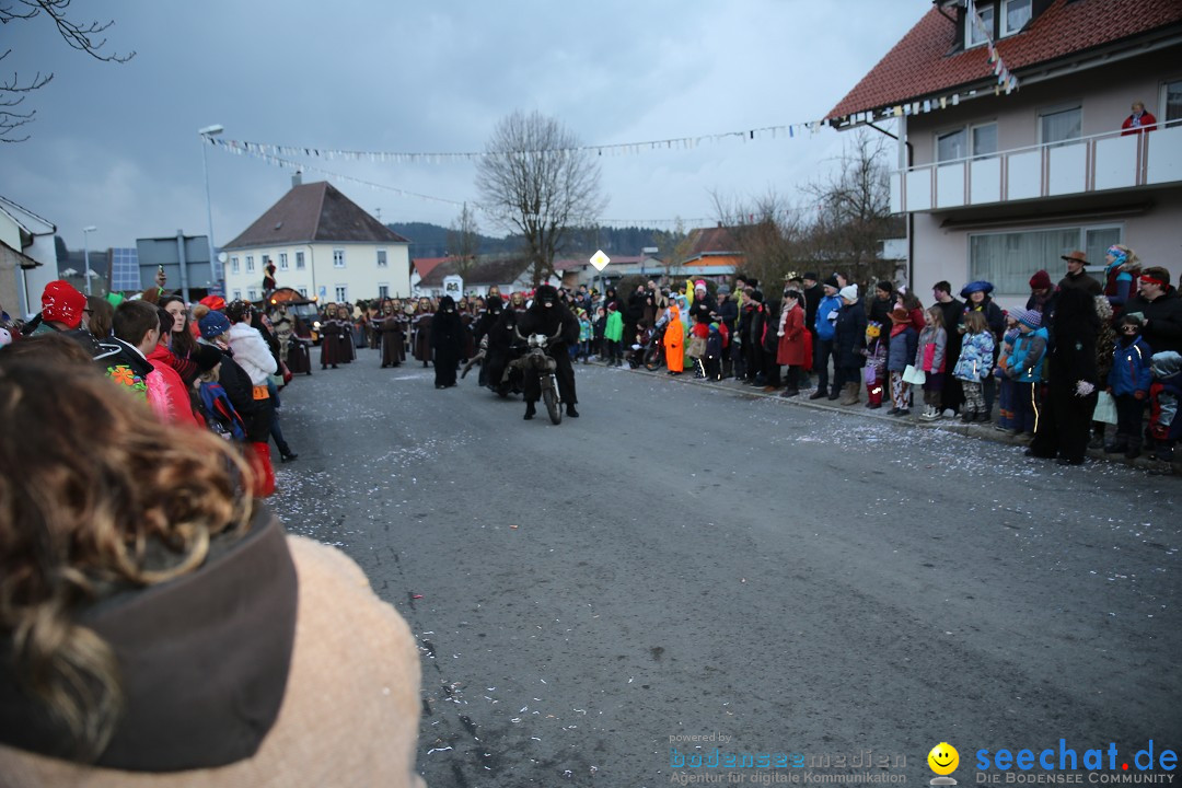 Fasnetsumzug - Fasching: Obereisenbach am Bodensee, 03.02.2018