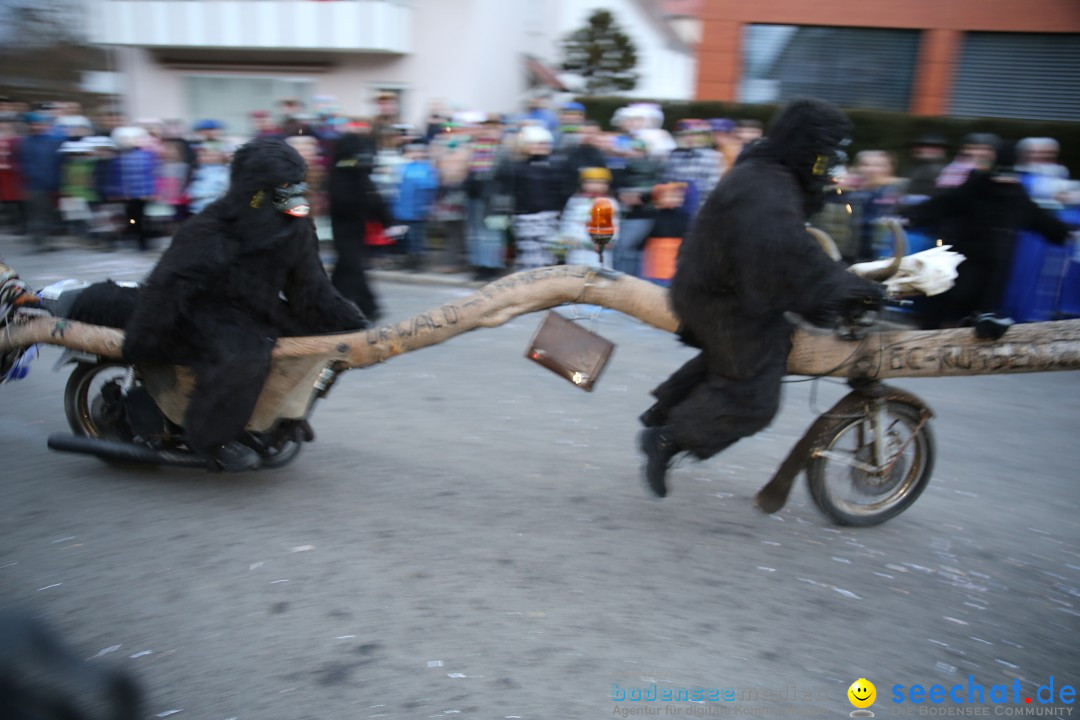 Fasnetsumzug - Fasching: Obereisenbach am Bodensee, 03.02.2018