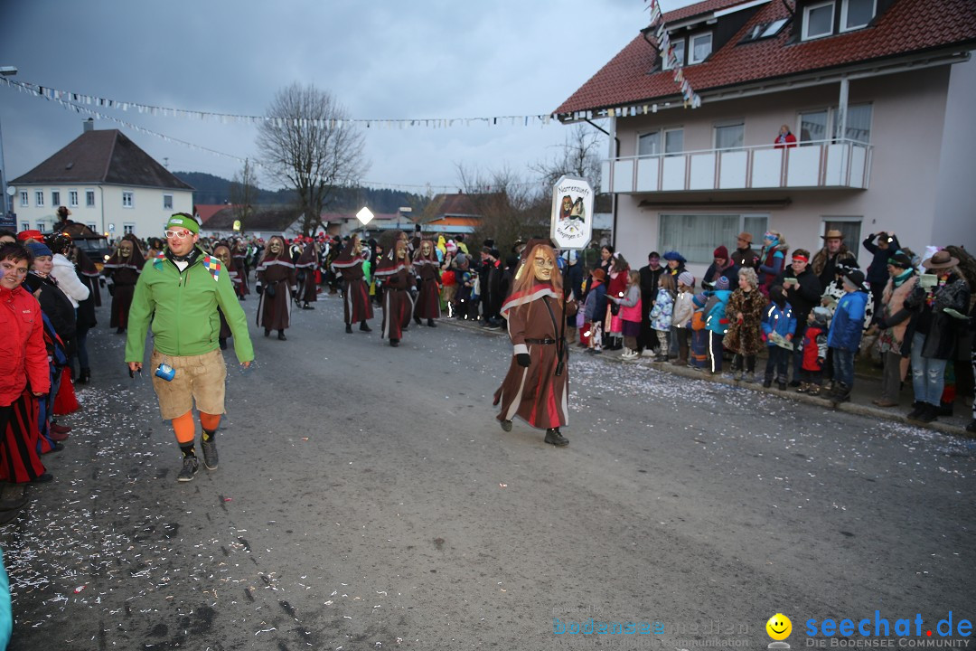 Fasnetsumzug - Fasching: Obereisenbach am Bodensee, 03.02.2018