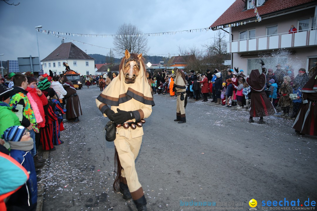 Fasnetsumzug - Fasching: Obereisenbach am Bodensee, 03.02.2018