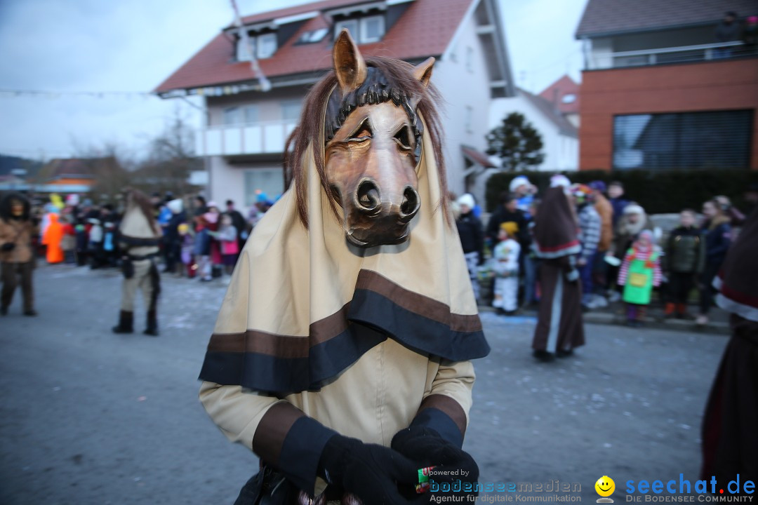 Fasnetsumzug - Fasching: Obereisenbach am Bodensee, 03.02.2018