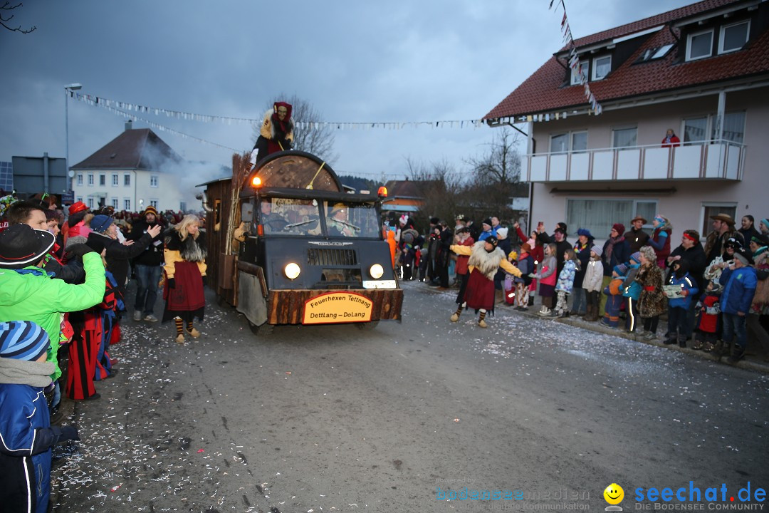 Fasnetsumzug - Fasching: Obereisenbach am Bodensee, 03.02.2018