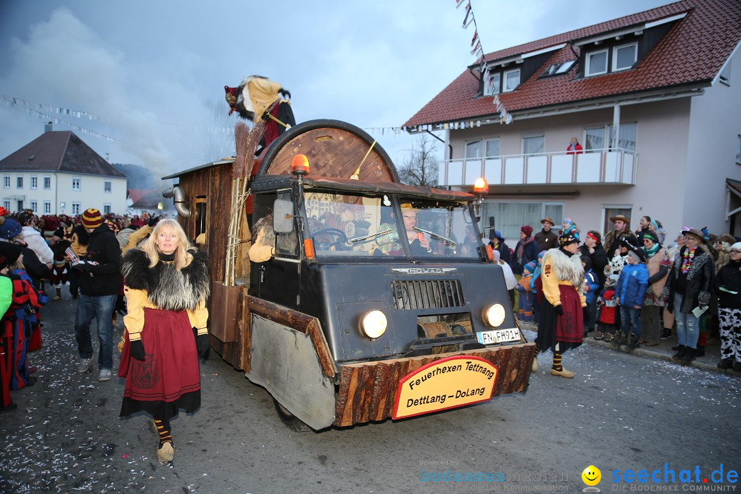 Fasnetsumzug - Fasching: Obereisenbach am Bodensee, 03.02.2018