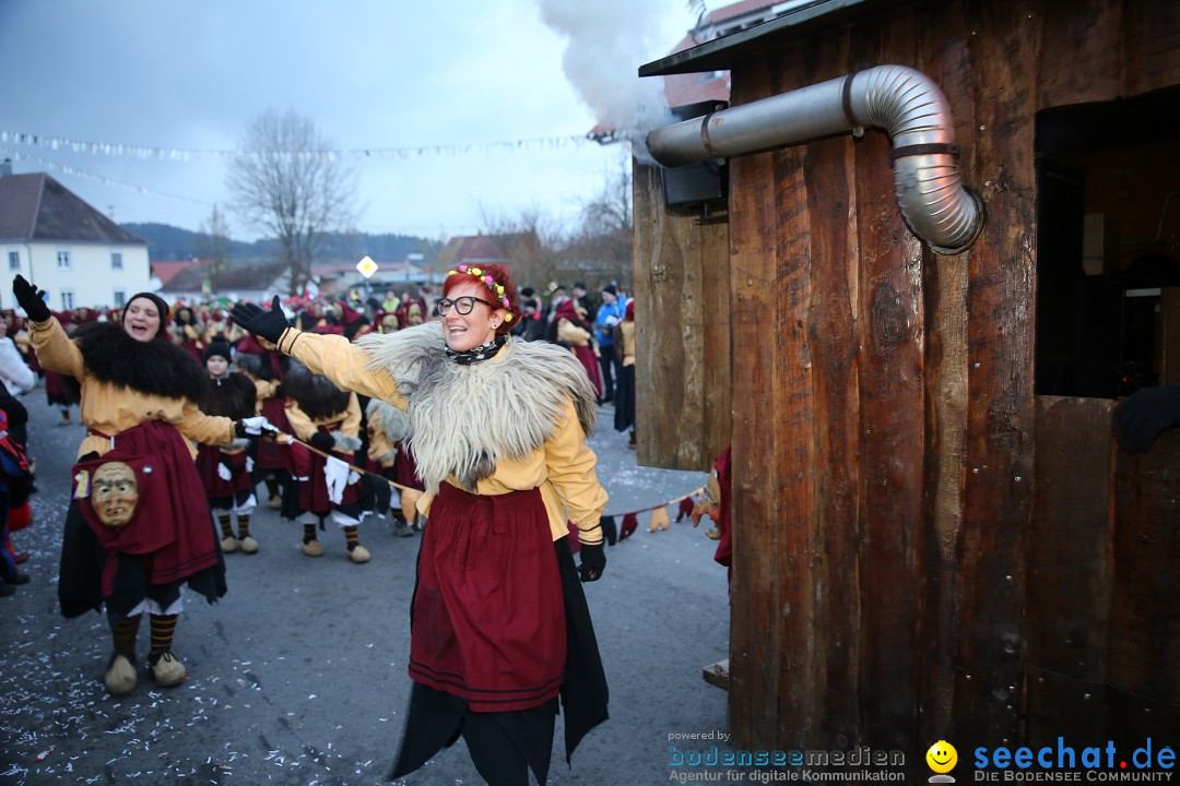 Fasnetsumzug - Fasching: Obereisenbach am Bodensee, 03.02.2018