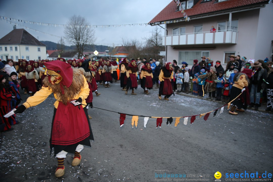 Fasnetsumzug - Fasching: Obereisenbach am Bodensee, 03.02.2018