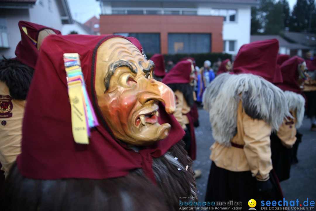 Fasnetsumzug - Fasching: Obereisenbach am Bodensee, 03.02.2018